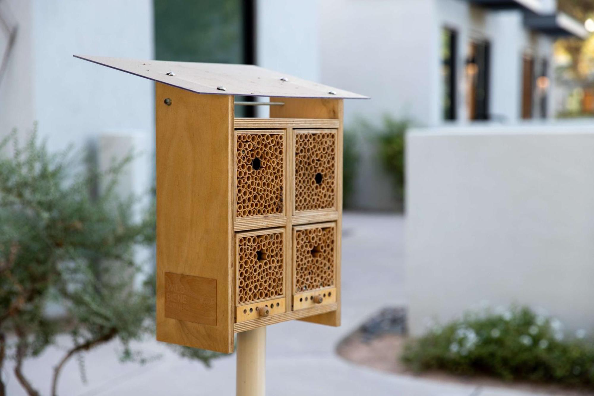 Andaz Scottsdale Resort & Bungalows מראה חיצוני תמונה