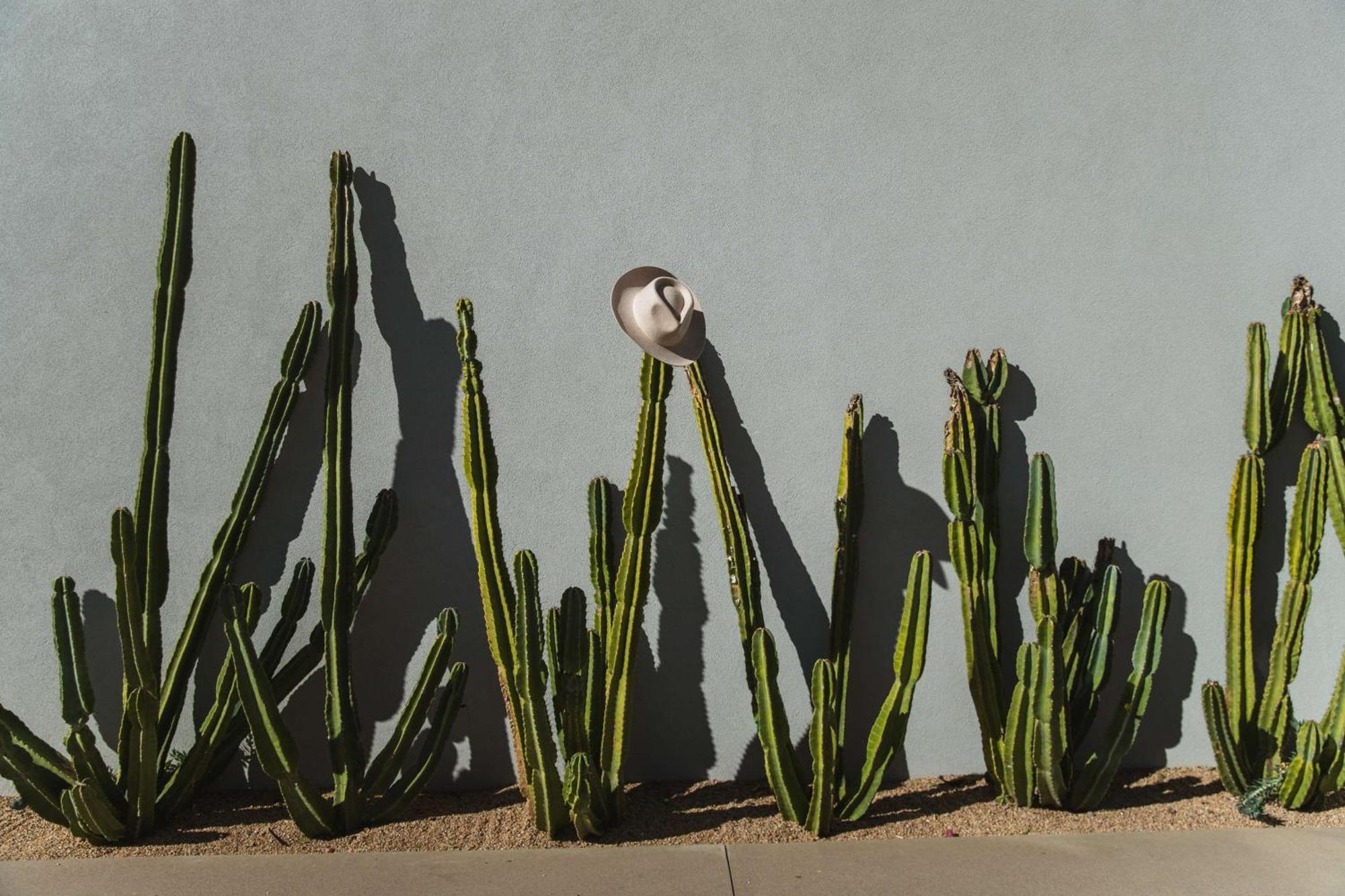 Andaz Scottsdale Resort & Bungalows מראה חיצוני תמונה